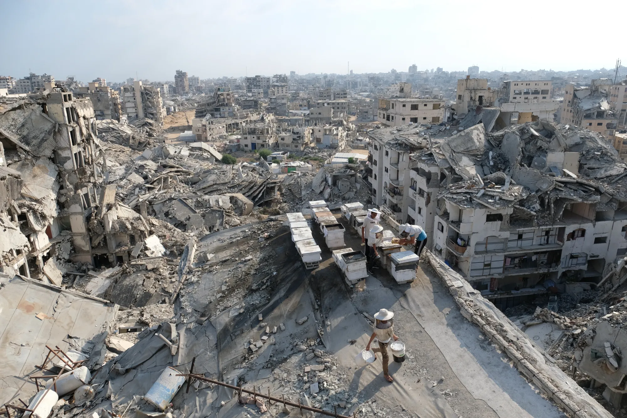 Gaza
